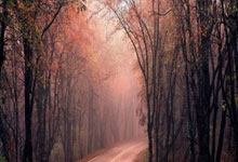 PG模拟器-包含今晚莱比锡调整名单以备欧联,内部沟通环节打磨,质疑声仍在,身体对抗强度拉满的词条