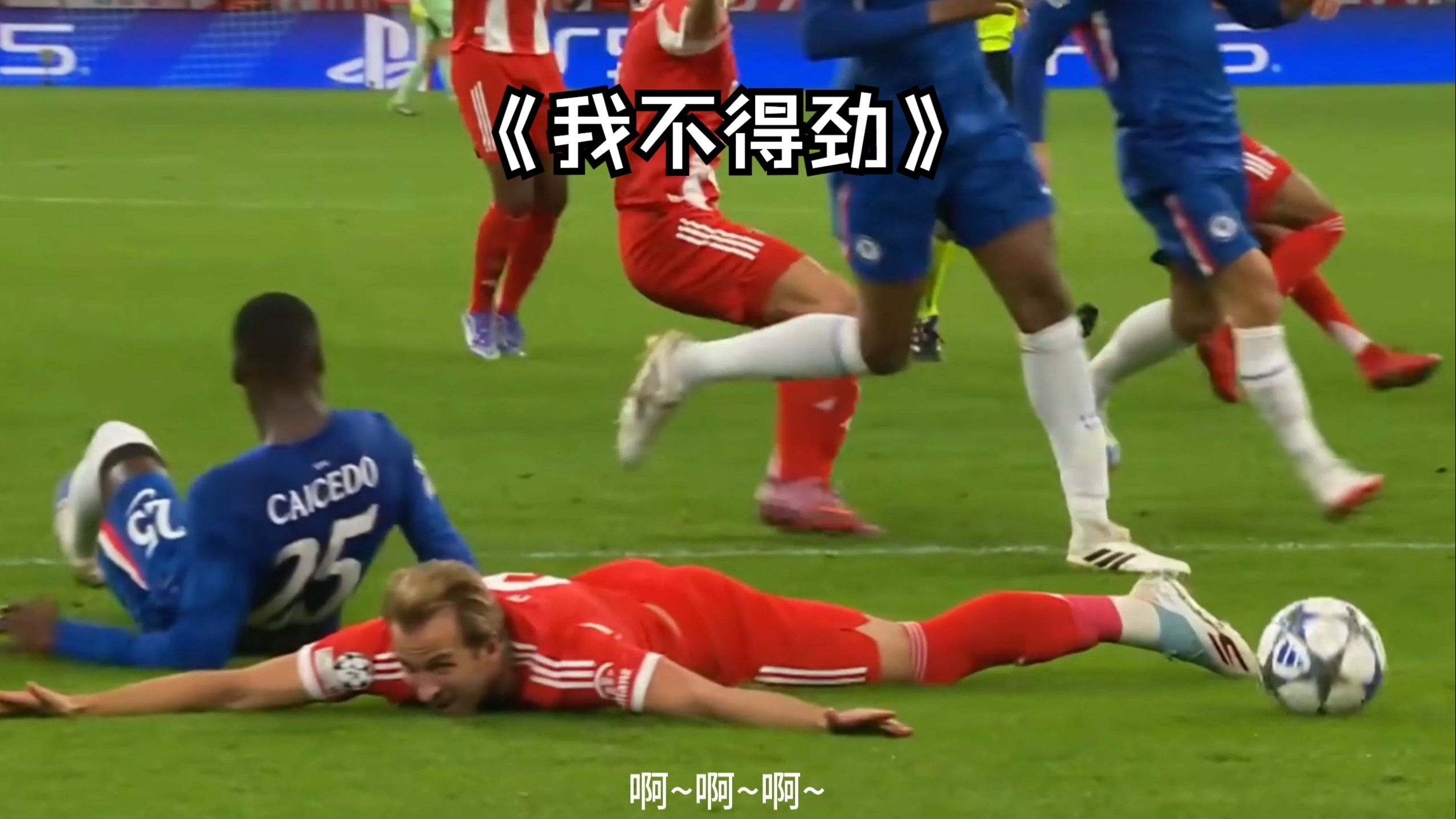  珀斯光荣vs惠灵顿凤凰 